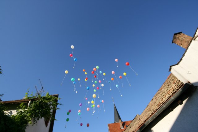 img_7995.jpg