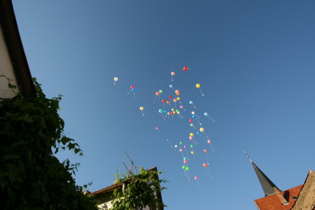 img_7997.jpg