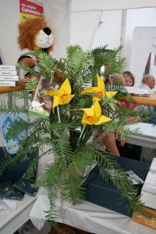 img_6435.jpg